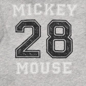 Βαμβακερό μπλουζάκι με εκτύπωση Mickey Mouse για μωρό, γκρι Benetton 260651 3