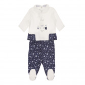 Βαμβακερό σετ μπλούζα και μποτάκια με floral print για μωρό Chicco 264370 