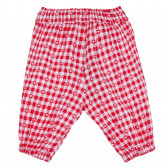 Καρό παντελόνι με καρδιές για μωρό, κόκκινο Benetton 265325 4
