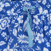 Σορτς με floral print για μωρό, μπλε Benetton 268073 2