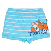 Cool Club μαγιό με γαλάζιες και άσπρες ρίγες με τύπωμα τίγρης, για αγόρια Cool club 270540 