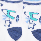Πολύχρωμες κάλτσες για μωρό αγόρι Z Generation 275840 2