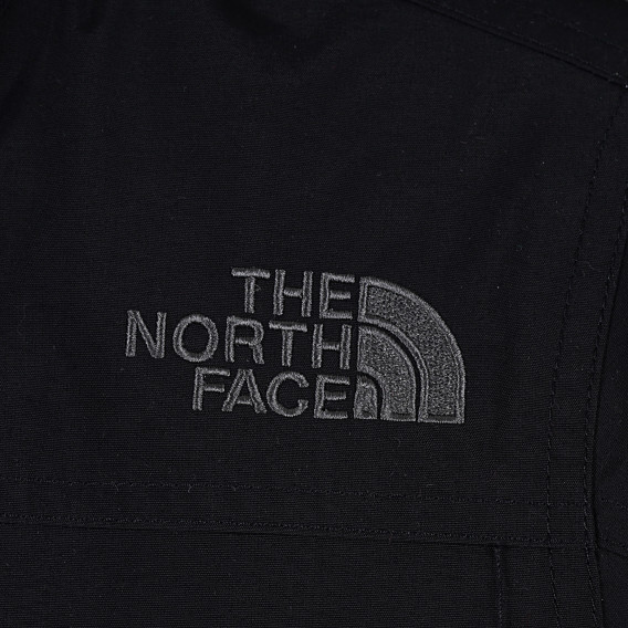 Μπουφάν unisex The North Face 276197 2