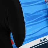 Κάθισμα αυτοκινήτου Topo Comfort 15-36 κιλά Shark Power-Σκούρο Μπλε Lorelli 283229 5