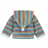 Βελούδινο μπουφάν με κουκούλα για μωρά, unisex Boboli 29 2
