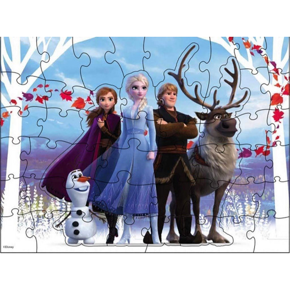 Παζλ έκπληξη με ανάγλυφο - Frozen Kingdom, 48 κομμάτια Frozen 290425 5