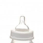Μπουκάλι πολυπροπυλενίου με βαλβίδα νεογέννητου μωρού και πιπίλα μέση ροή 3-6 μήνες, 240 ml Canpol 291536 3