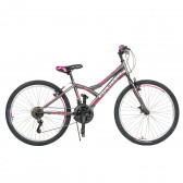 Γκρι παιδικό ποδήλατο μεγέθους 24 Venera Bike 296072 6