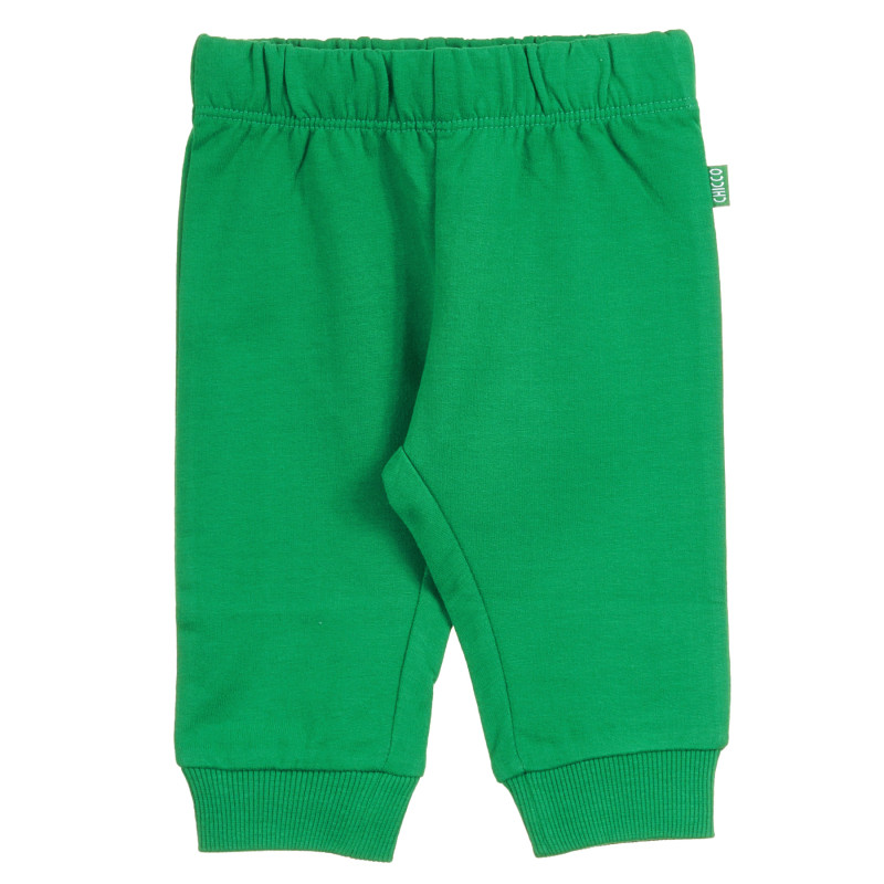 Παντελόνι Unisex σε πράσινο χρώμα με ελαστική ταινία  296112