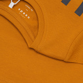 Μπλούζα με μακριά μανίκια από οργανικό βαμβάκι, σε πορτοκαλί χρώμα. Name it 296213 3