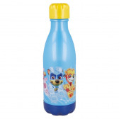 Πλαστικό μπουκάλι PAW PATROL, 560 ml. Stor 298214 2