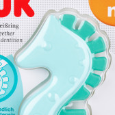 1 τεμ. πράσινη οδοντογλυφίδα σε σχήμα ιππόκαμπου για αγόρια 3+ μηνών NUK 302921 3