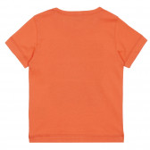 Βαμβακερό μπλουζάκι σε πορτοκαλί χρώμα με στάμπα κύμα Benetton 312804 4