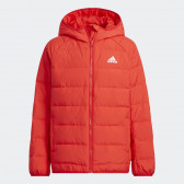 Χειμερινό μπουφάν Adidas Froosy, κόκκινο Adidas 315472 