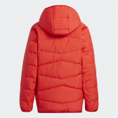 Χειμερινό μπουφάν Adidas Froosy, κόκκινο Adidas 315473 2