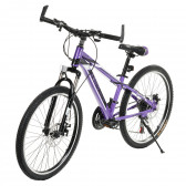 Παιδικό ποδήλατο Brooklin 24'', μοβ ZIZITO 315604 