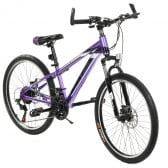 Παιδικό ποδήλατο Brooklin 24'', μοβ ZIZITO 315608 5