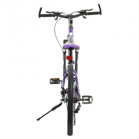 Παιδικό ποδήλατο Brooklin 24'', μοβ ZIZITO 315610 7