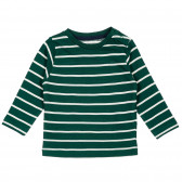 Βαμβακερή μακρυμάνικη μπλούζα με πράσινες και λευκές ρίγες, για μωρό ZY 317097 