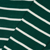 Βαμβακερή μακρυμάνικη μπλούζα με πράσινες και λευκές ρίγες, για μωρό ZY 317098 2
