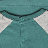 Πράσινη μπλούζα με στάμπα Αρκουδάκι, για μωρό ZY 317814 3