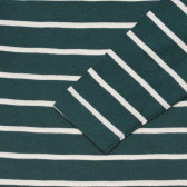 Βαμβακερή μακρυμάνικη μπλούζα με πράσινες και λευκές ρίγες, για μωρό ZY 318432 5