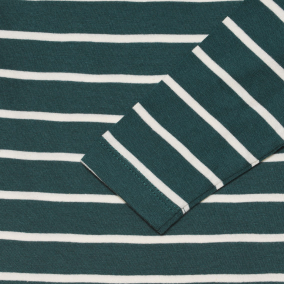 Βαμβακερή μακρυμάνικη μπλούζα με πράσινες και λευκές ρίγες, για μωρό ZY 318432 5