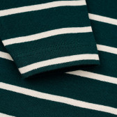 Βαμβακερή μακρυμάνικη μπλούζα με πράσινες και λευκές ρίγες, για μωρό ZY 319638 9