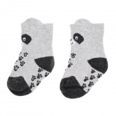 Cool κλαμπ σετ με δύο ζευγάρια βρεφικές κάλτσες σε γκρι χρώμα με στάμπα Panda Cool club 324953 4