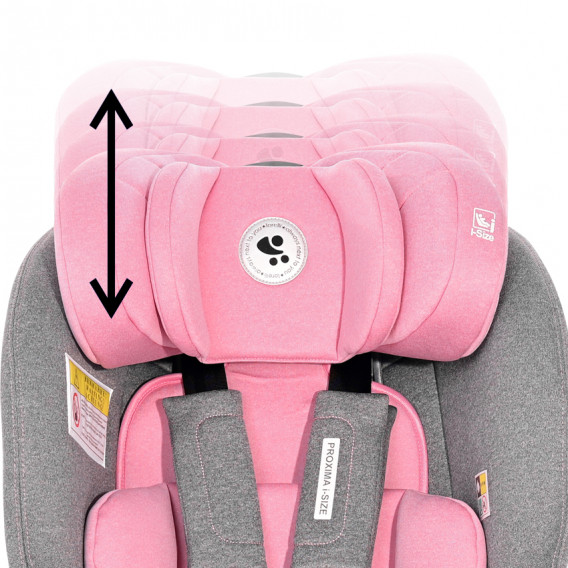 Κάθισμα αυτοκινήτου Proxima i-Size 0-36 κιλά Ροζ & Γκρι Lorelli 324983 5