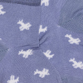 Μπλε βαμβακερές κάλτσες με σταμπωτά αεροπλάνα Chicco 326117 2