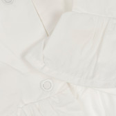 Βαμβακερή κοντομάνικη μπλούζα με απλικέ για κορίτσι Chicco 330850 3