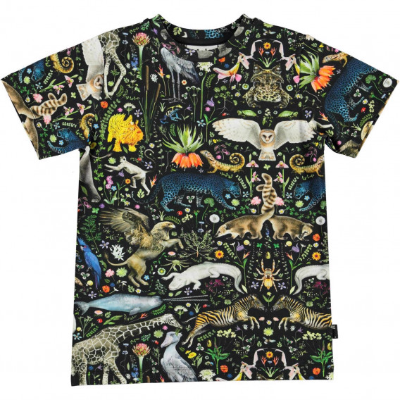 Πολύχρωμη κοντομάνικη μπλούζα με μυθικά ζωάκια Molo 334521 