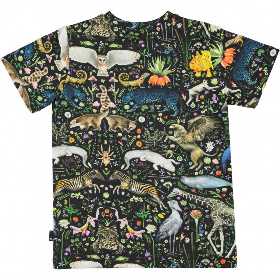 Πολύχρωμη κοντομάνικη μπλούζα με μυθικά ζωάκια Molo 334522 2
