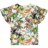 Πολύχρωμη κοντομάνικη μπλούζα με βολάν και animal print Molo 334534 2