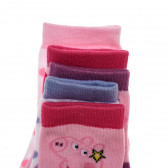 Σετ πέντε κάλτσες Peppa Pig, πολύχρωμες Peppa pig 335286 4