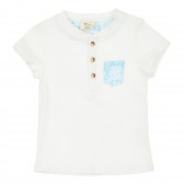 Πολύχρωμο σετ μπλουζάκι και σορτς, για μωρό ZY 336072 2