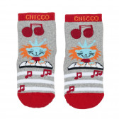 Κάλτσες μωρού για ένα κορίτσι πολύχρωμο Chicco 336822 
