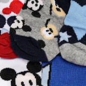 Σετ πέντε κάλτσες Mickey Mouse, πολύχρωμες. Mickey Mouse 336855 2