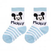 Σετ πέντε κάλτσες Mickey Mouse, πολύχρωμες. Mickey Mouse 336859 6