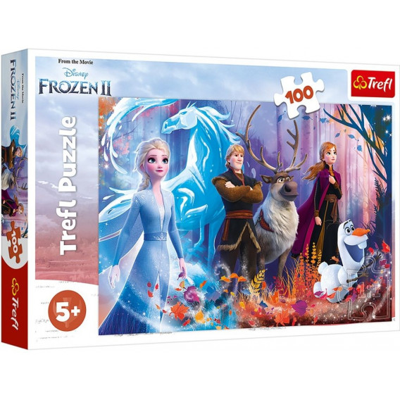 Παζλ Ice magic from the frozen kingdom 2, 100 κομμάτια Trefl 339096 