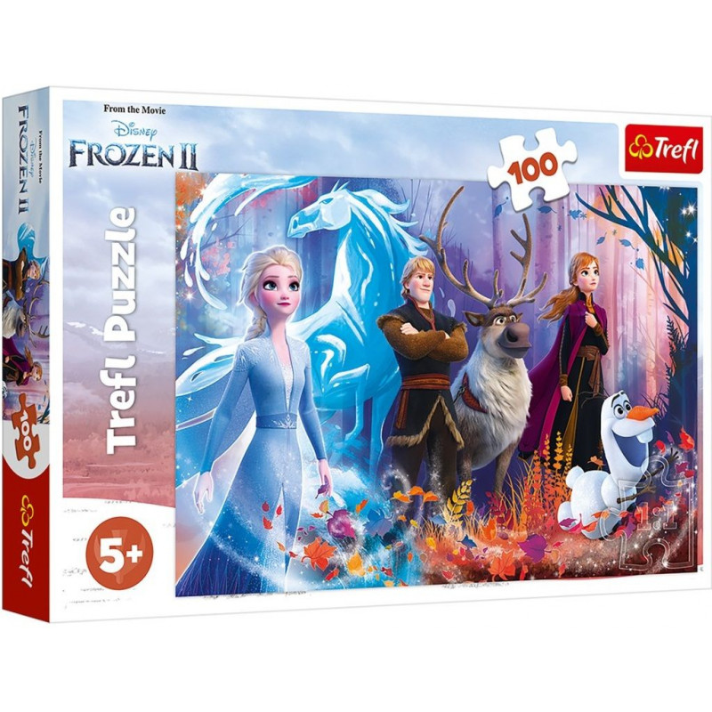 Παζλ Ice magic from the frozen kingdom 2, 100 κομμάτια  339096