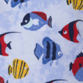 Βαμβακερό T-shirt με γιακά και πολύχρωμο σχέδιο ψάρι, για αγόρι Tuc Tuc 34502 3