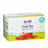 Βιολογικό τσάι φρούτων, κουτί 0,040 kg (20 τεμ. X 2 g) Hipp 369357 2