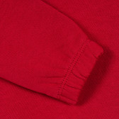 Οργανική βαμβακερή μπλούζα με φουσκωμένα μανίκια, κόκκινη Name it 369875 2