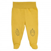 Βαμβακερό κίτρινο βρεφικό παντελόνι με κλειστό πόδι και κέντημα Pinokio 371239 1