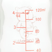 Γυάλινο μπουκάλι των 120 ml. για 0+ μήνες Lorelli 372325 5