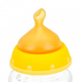 First Choice πορτοκαλί γυάλινη φιάλη με πιπίλα μέσης ροής για ηλικία 0-6 μηνών, 120 ml. NUK 372880 3