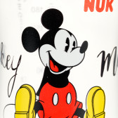 Γκρι Mickey magic μπουκάλι πολυπροπυλενίου, 230 ml. NUK 372991 3