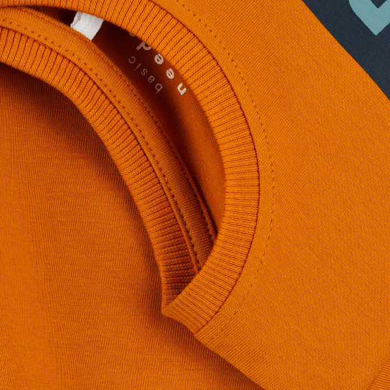 Μπλούζα από οργανικό βαμβάκι με γραφική εκτύπωση, σε πορτοκαλί χρώμα Name it 373024 3